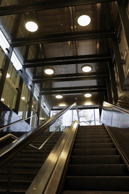 Inside a modern building with a metallic staircase featuring metal handrails and dark carpeting, leading up to a glass and metal structure with large circular ceiling lights. The surroundings include glass walls and doors, providing visibility to the outside environment where tree branches are visible. This setting likely relates to a house or flat relocation process, as part of a professional moving service. The lighting emphasizes the clean, functional design suitable for transport and moving logistics, with no furniture or boxes visible in this specific image. Removals Finsbury Park's service might involve navigating such internal environments during a move, especially when accessing upper floors via stairs or elevators as part of packing and furniture transport.